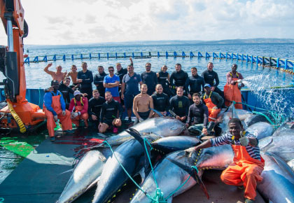 マグロ養殖に欠かせない現地サプライヤーのスタッフ